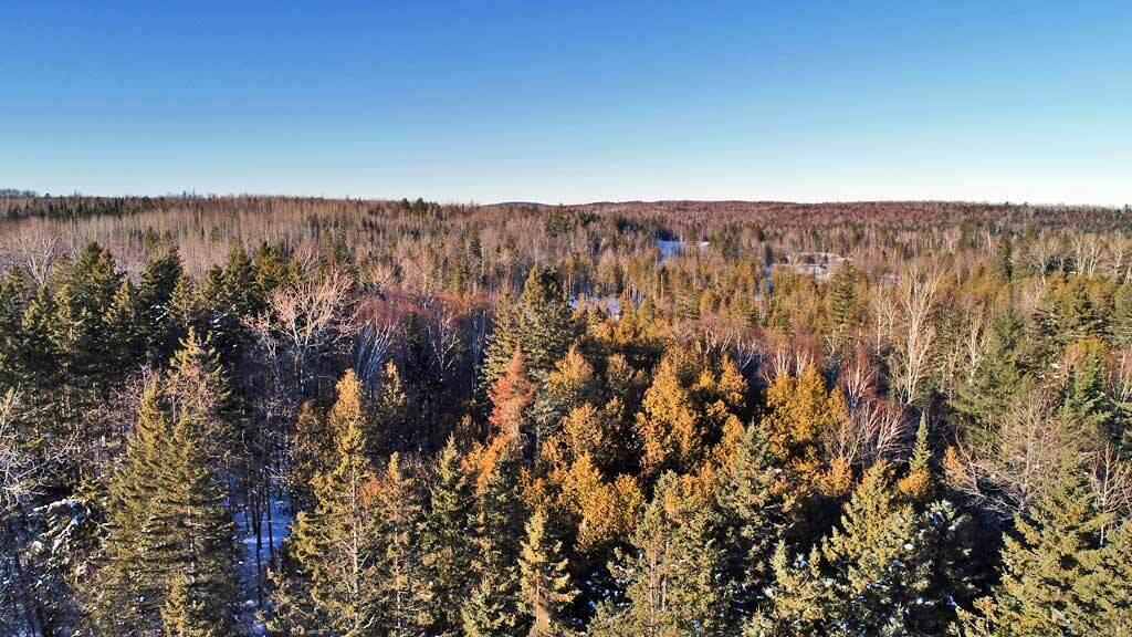 Lot 6 Ludlow Road Houlton, ME 04730 - Photo 26 of 28 ludlow-rd-maine-land-2