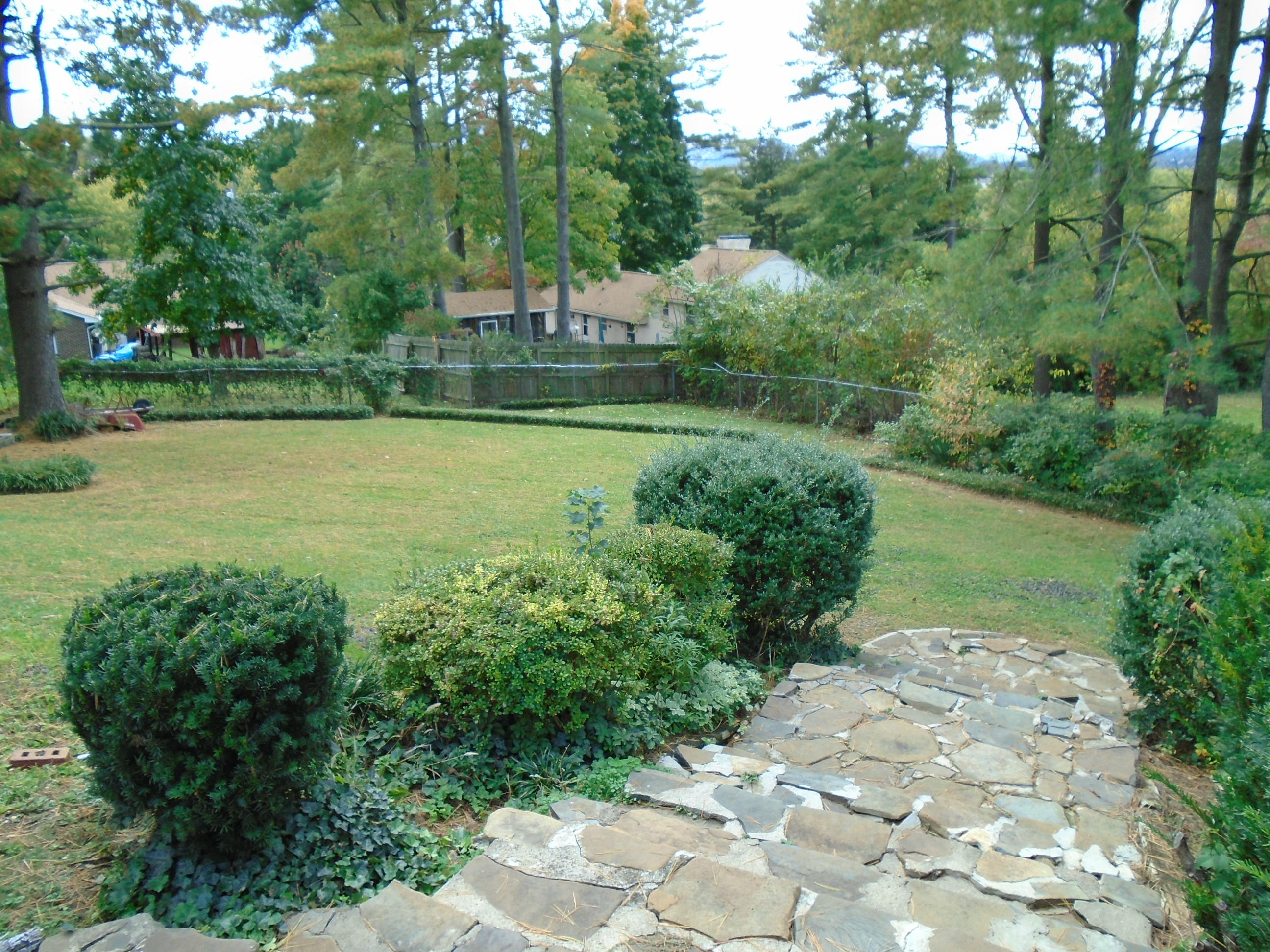 3107 Harmony Road Roanoke, VA 24018 - Photo 44 of 63 Backyard