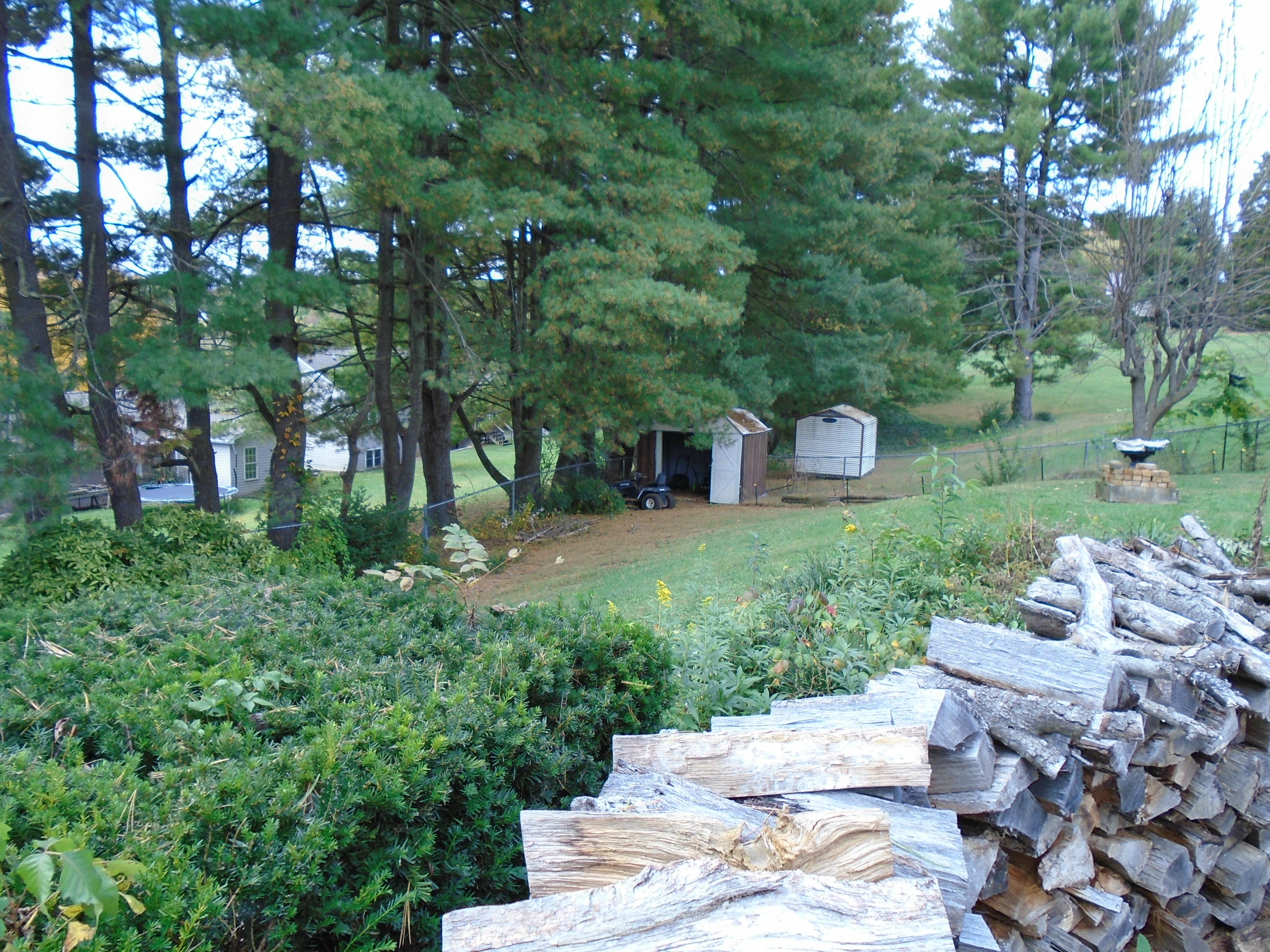 3107 Harmony Road Roanoke, VA 24018 - Photo 45 of 63 Backyard