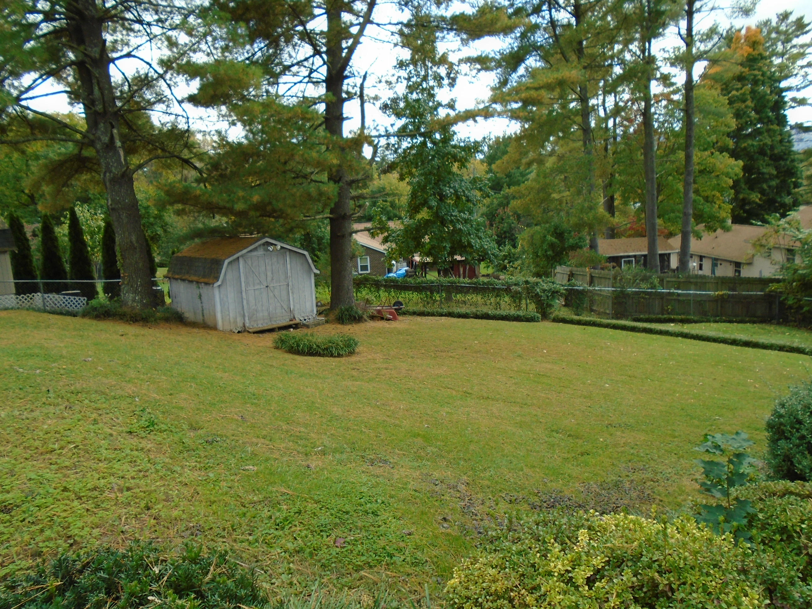 3107 Harmony Road Roanoke, VA 24018 - Photo 46 of 63 Backyard