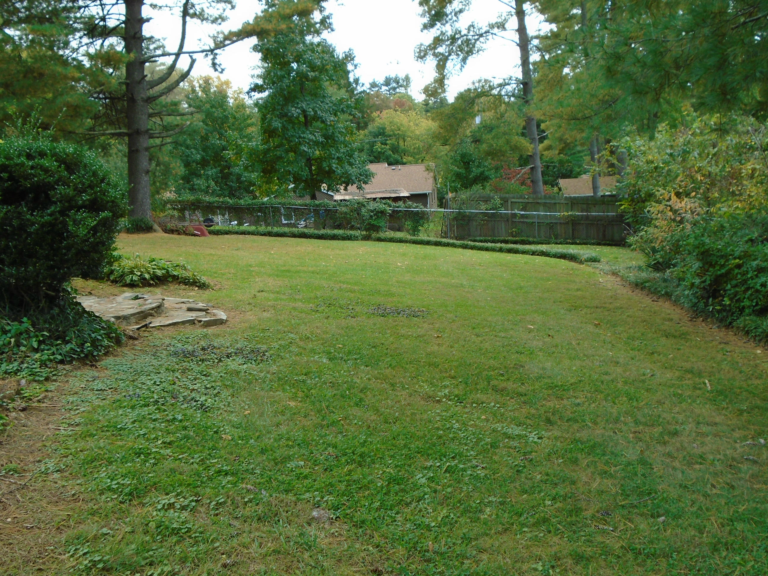 3107 Harmony Road Roanoke, VA 24018 - Photo 47 of 63 Backyard