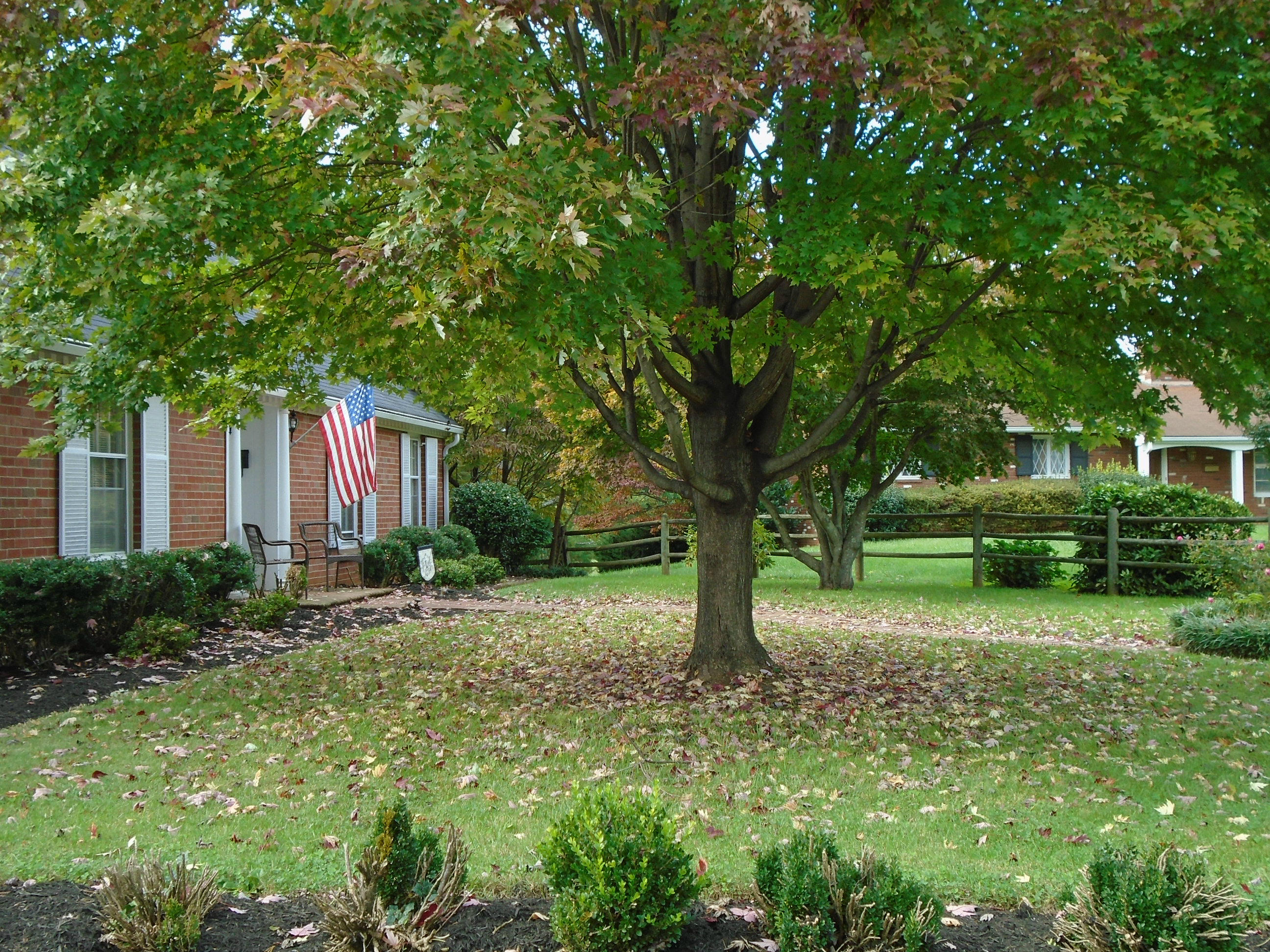 3107 Harmony Road Roanoke, VA 24018 - Photo 55 of 63 Front yard
