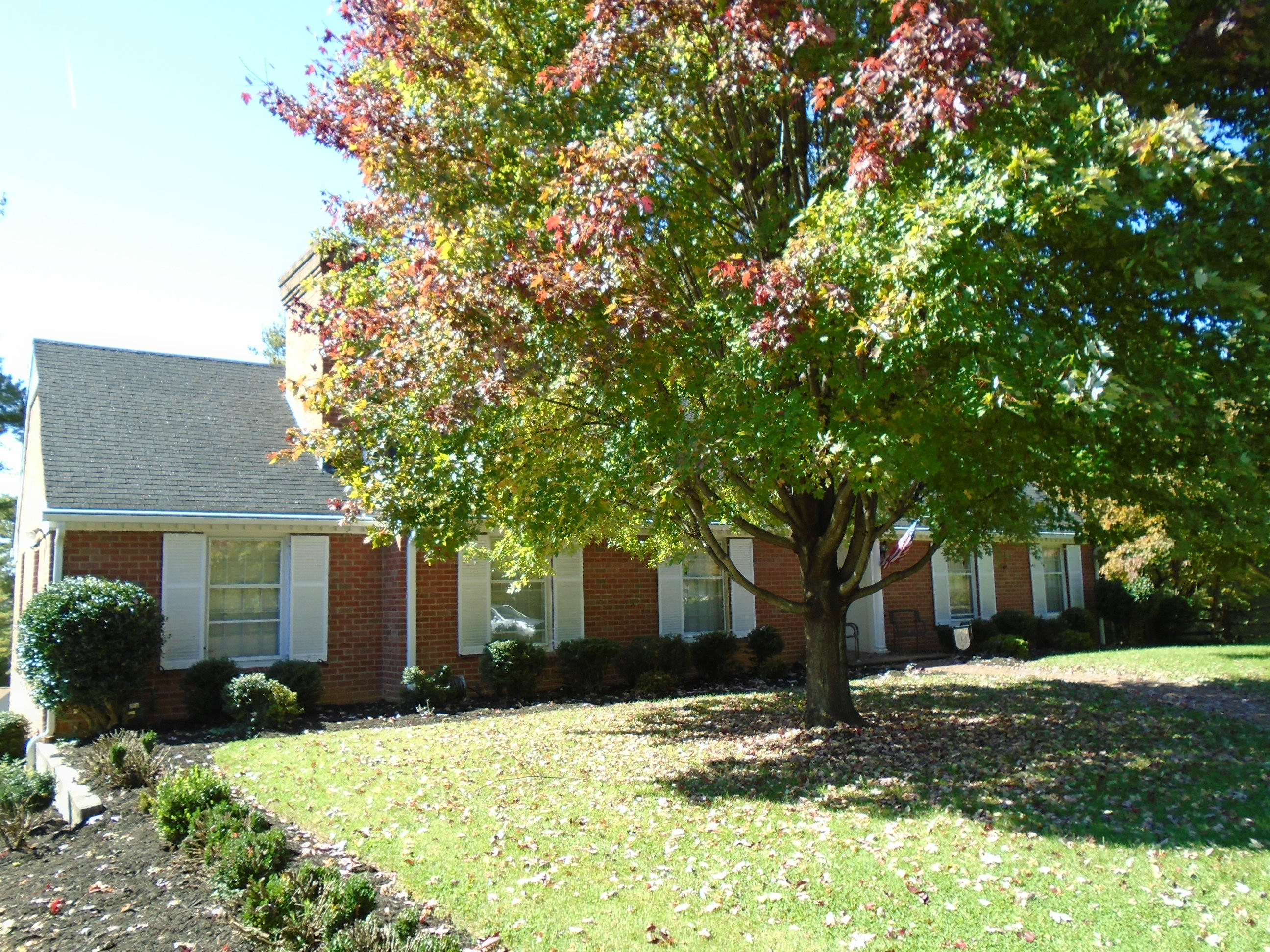 3107 Harmony Road Roanoke, VA 24018 - Photo 59 of 63 Shaded front yard