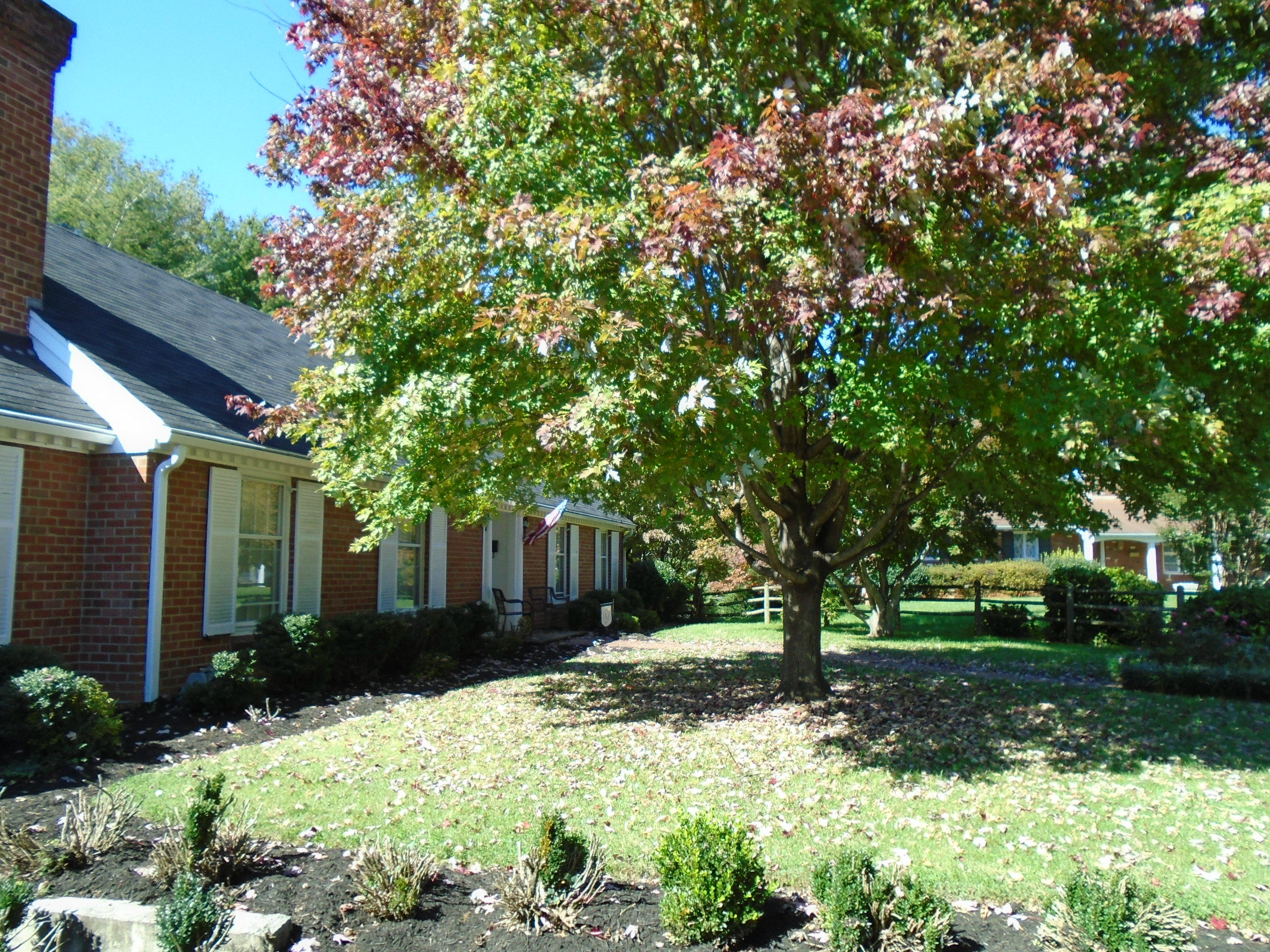 3107 Harmony Road Roanoke, VA 24018 - Photo 63 of 63 Front Yard