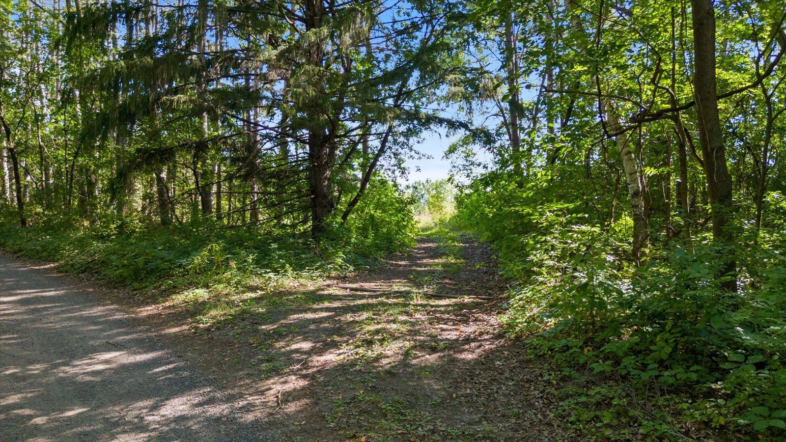 Tbd Tbd Stark Lane Road Harris, MN 55032 - Photo 3 of 12