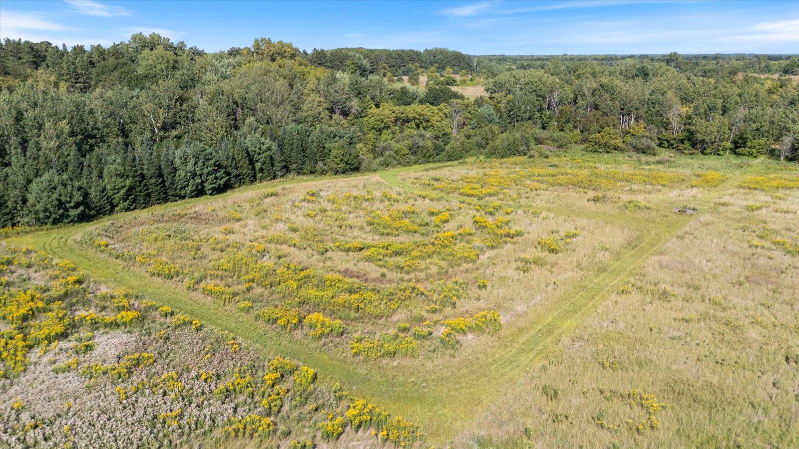 Tbd Tbd Stark Lane Road Harris, MN 55032 - Photo 6 of 12