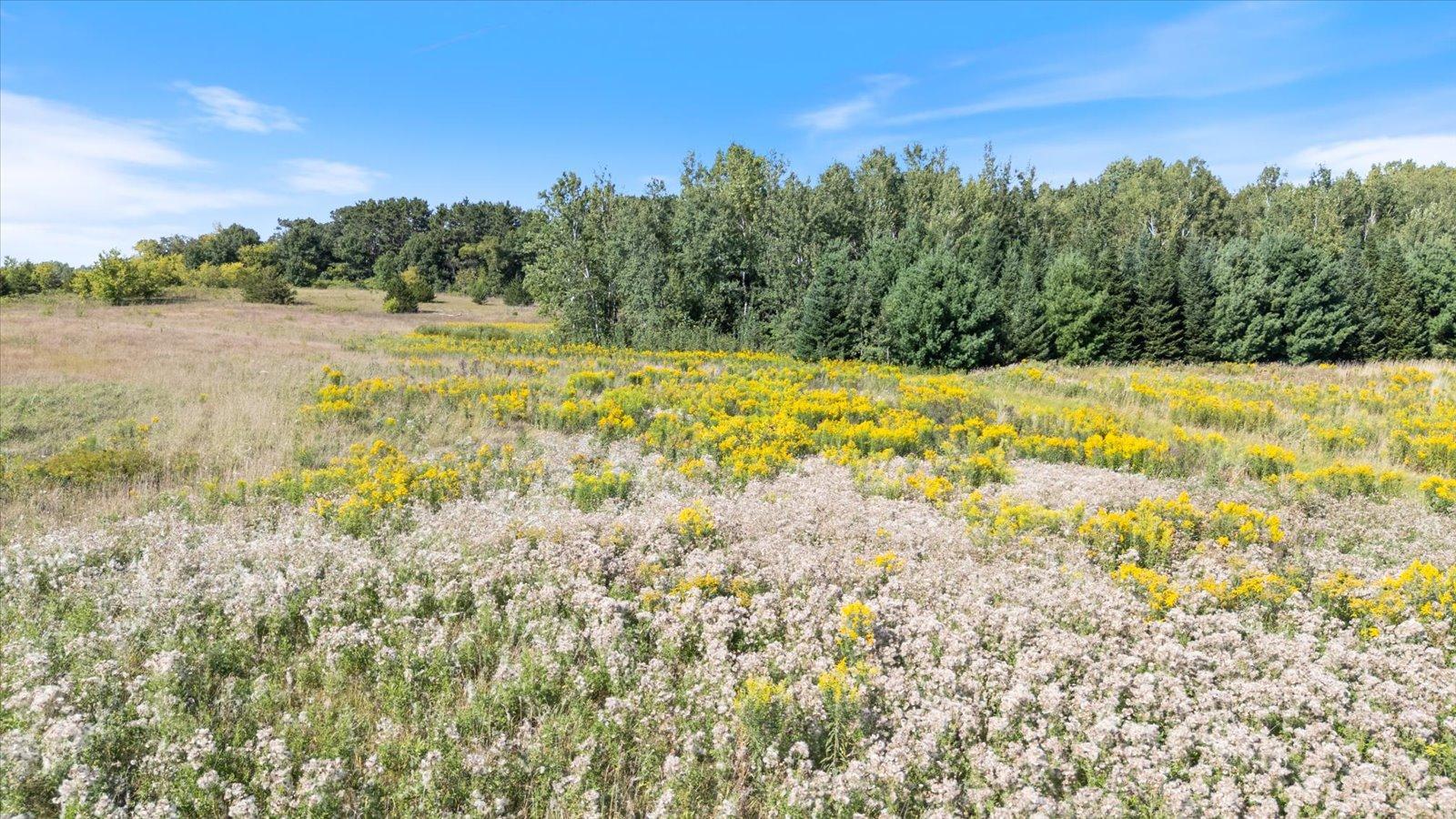 Tbd Tbd Stark Lane Road Harris, MN 55032 - Photo 8 of 12