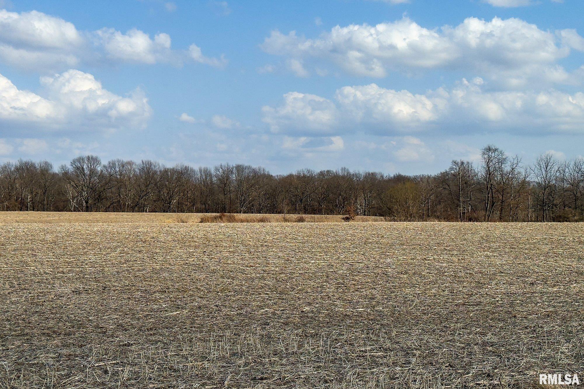 0 West Concord Road Farmington, IL 61531 - Photo 35 of 43 Gallery Image 35