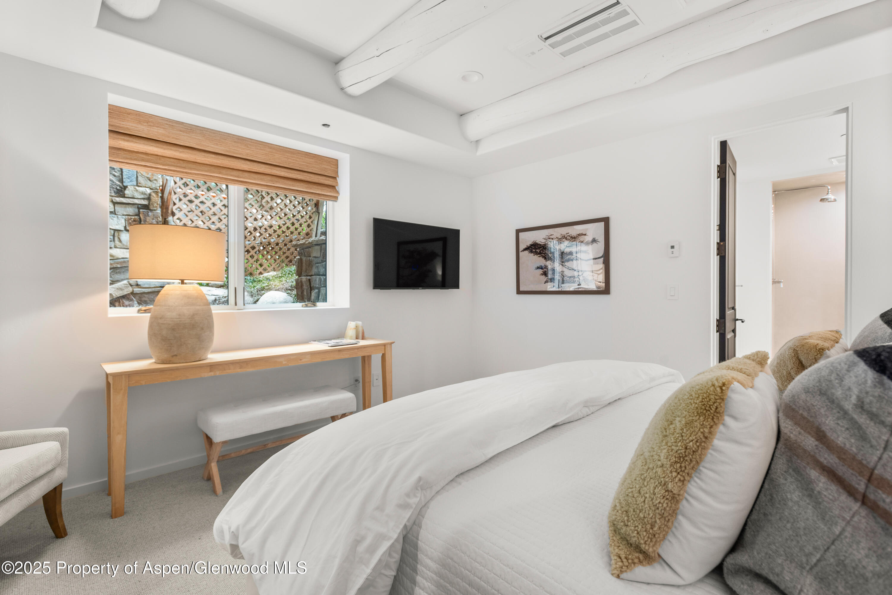 1495 Homestake Drive, Unit 2 Aspen, CO 81611 - Photo 36 of 42 55-1495Homestake_250430055