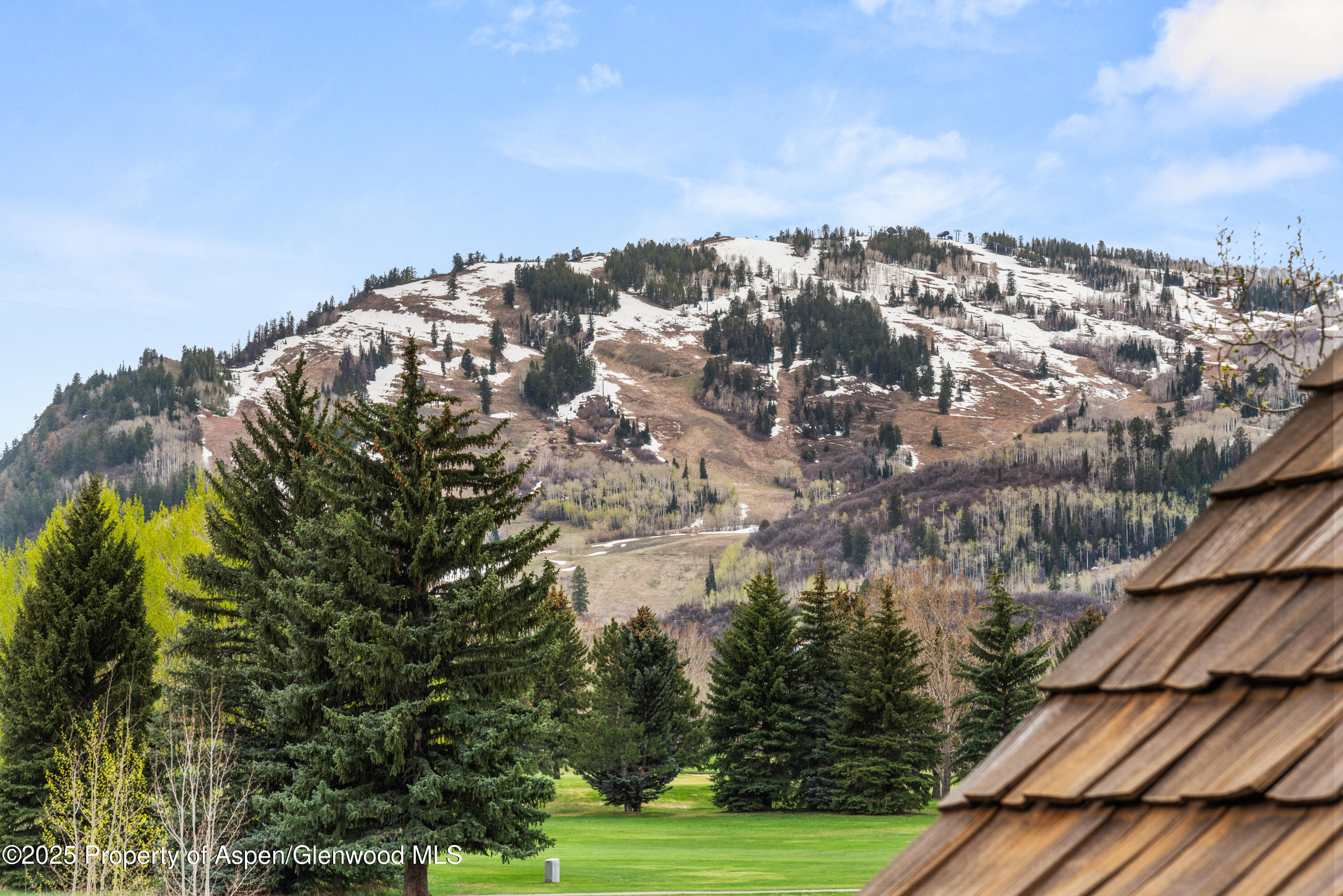 1495 Homestake Drive, Unit 2 Aspen, CO 81611 - Photo 42 of 42 a view of building