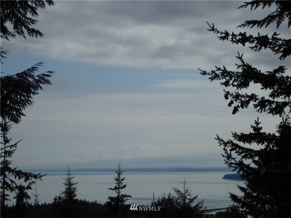 9999 High View Sequim, WA 98382 - Photo 2 of 12