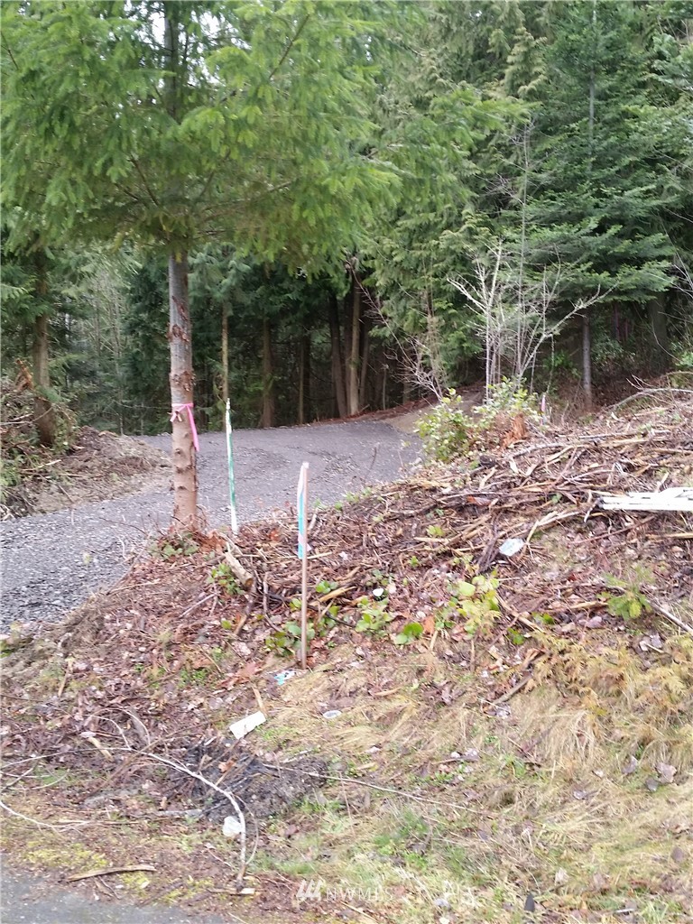 9999 High View Sequim, WA 98382 - Photo 11 of 12