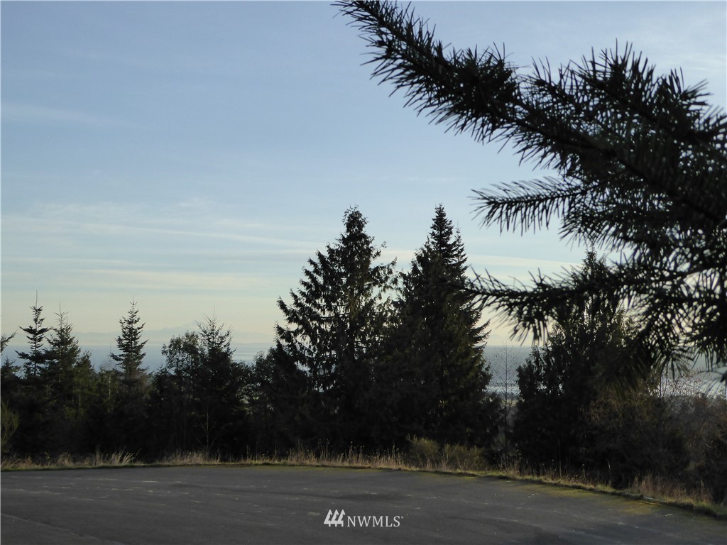 9999 High View Sequim, WA 98382 - Photo 12 of 12