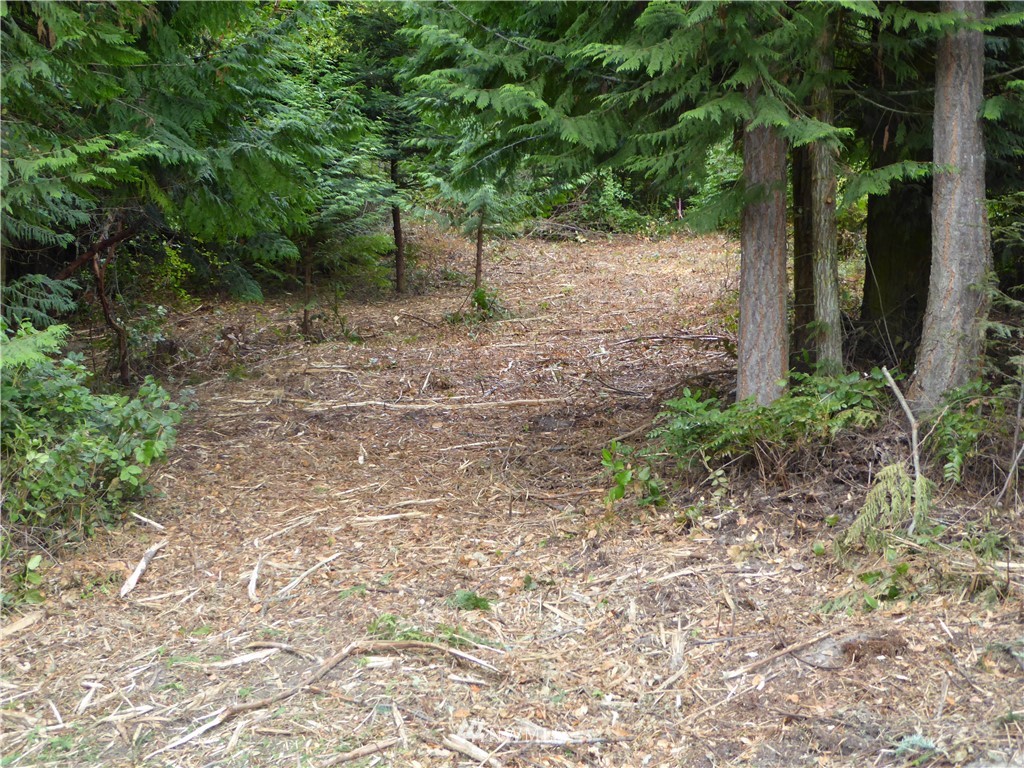 9999 High View Sequim, WA 98382 - Photo 7 of 12
