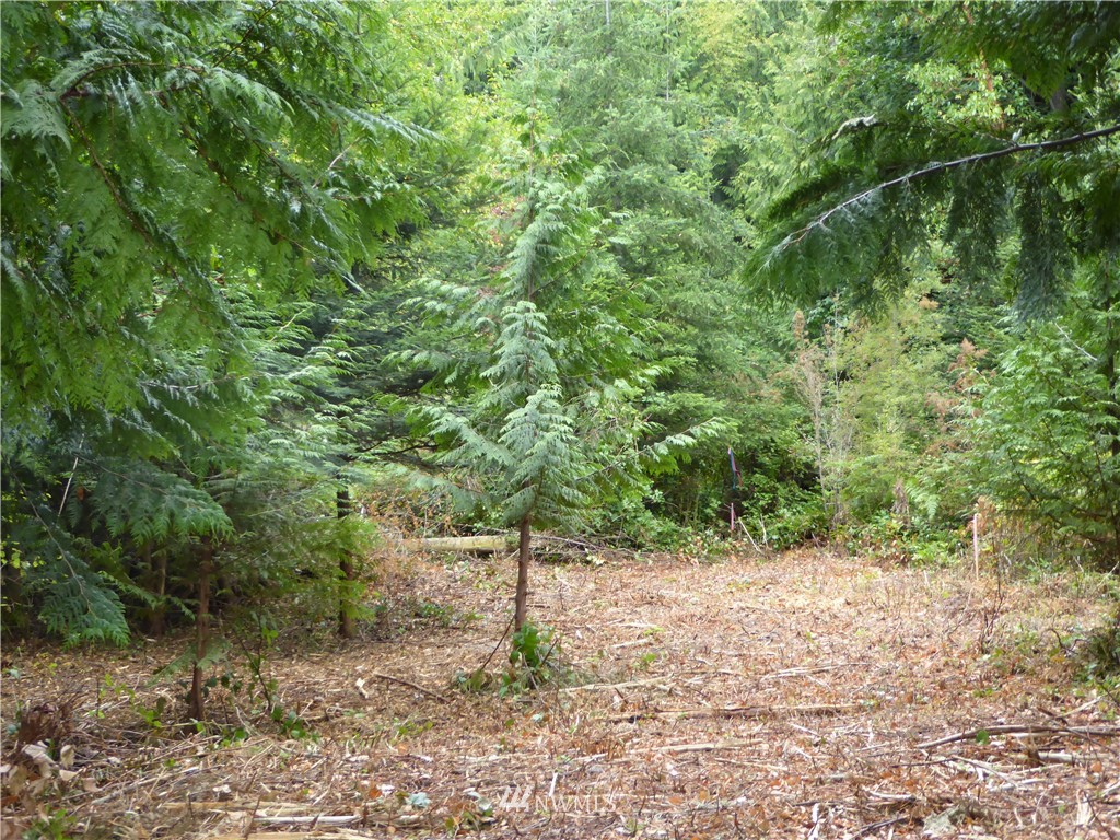 9999 High View Sequim, WA 98382 - Photo 8 of 12