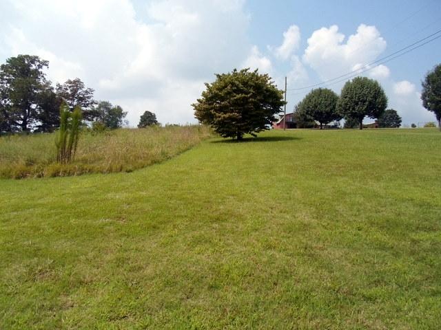 237 Hillcrest Road Madisonville, TN 37354 - Photo 3 of 19 03-SAM_0267