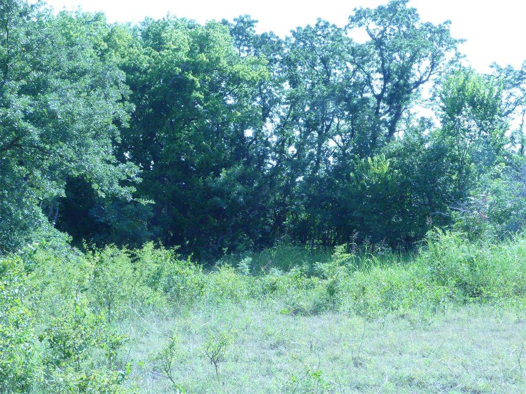 1691 West Alamo Road Bowie, TX 76230 - Photo 20 of 40 Gallery Image 20