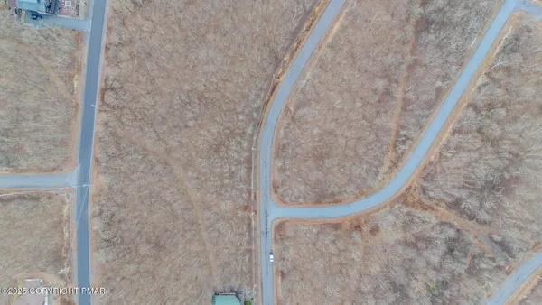 a view of backyard with tree