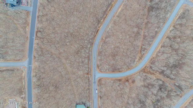 a view of backyard with tree