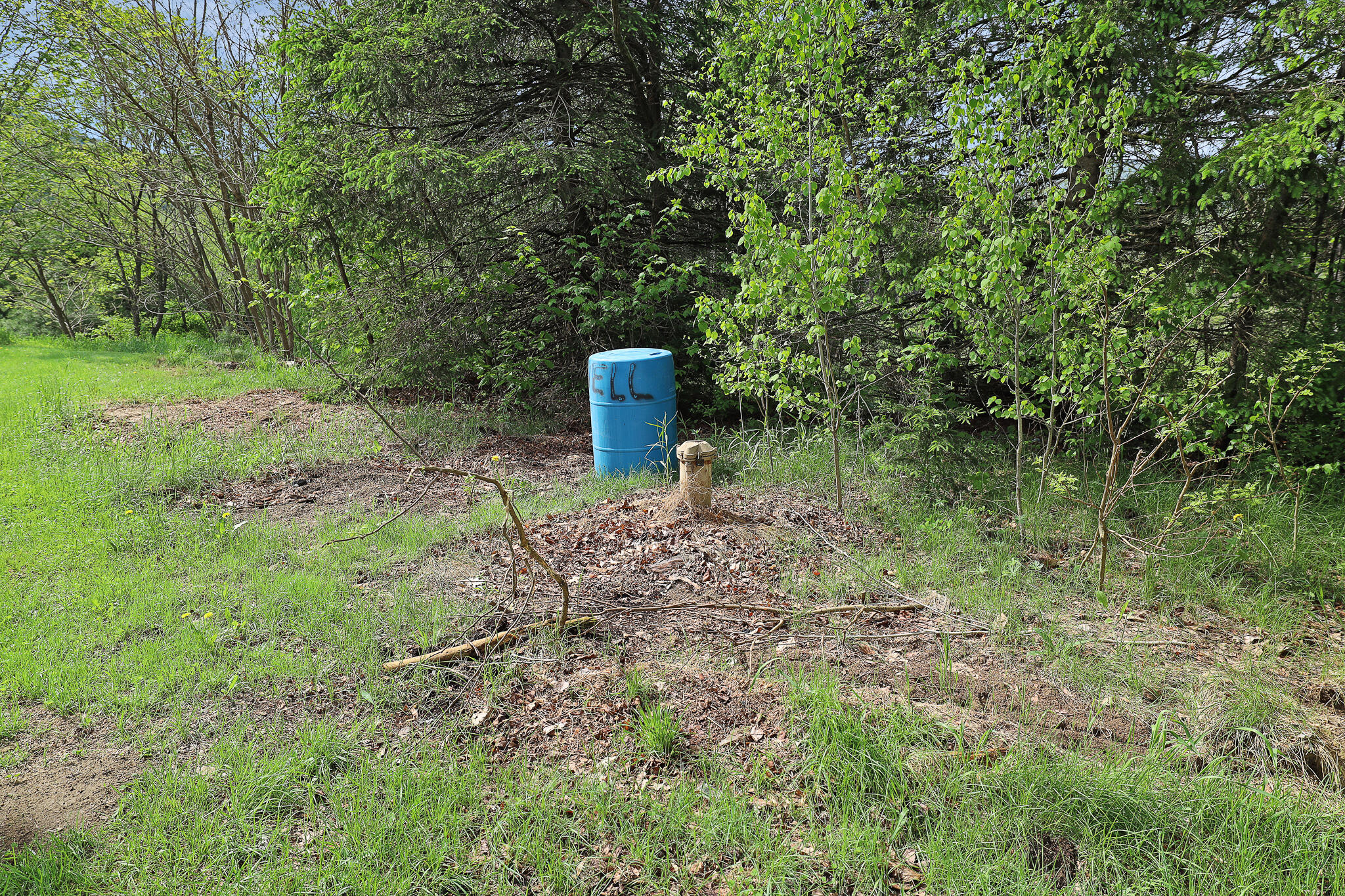 58 Old Valley Road Peru, ME 04290 - Photo 37 of 37 447A9043