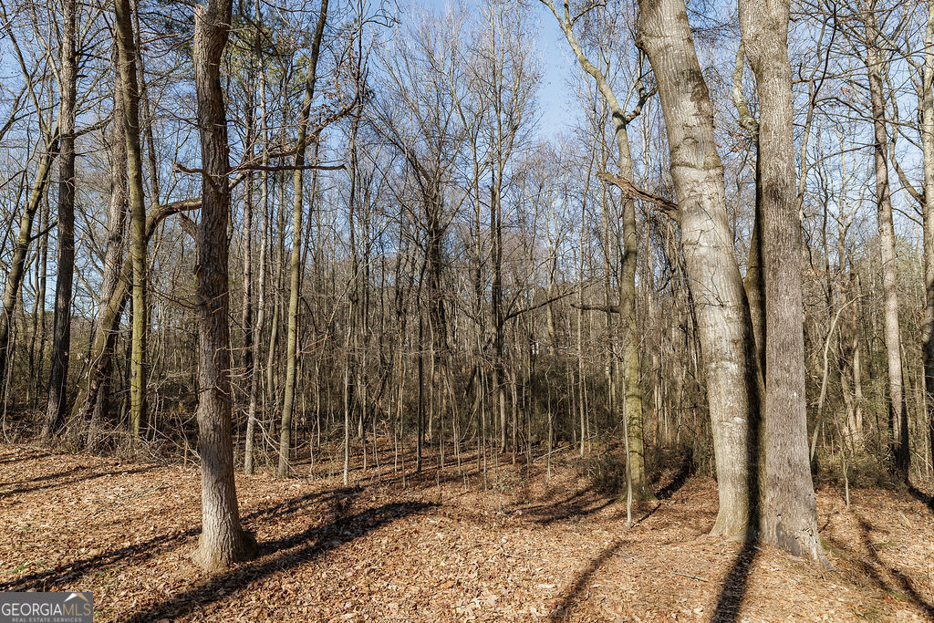 566 Hoke Hill Road Canon, GA 30520 - Photo 28 of 31