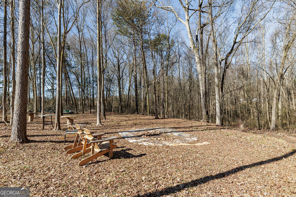 566 Hoke Hill Road Canon, GA 30520 - Photo 29 of 31