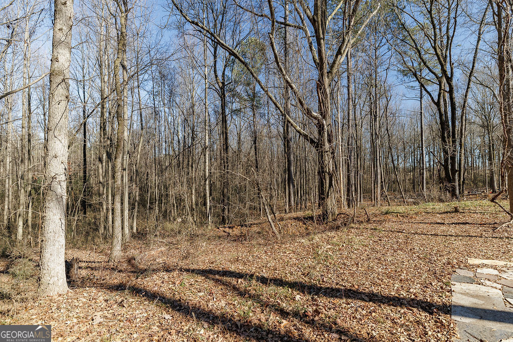 566 Hoke Hill Road Canon, GA 30520 - Photo 30 of 31