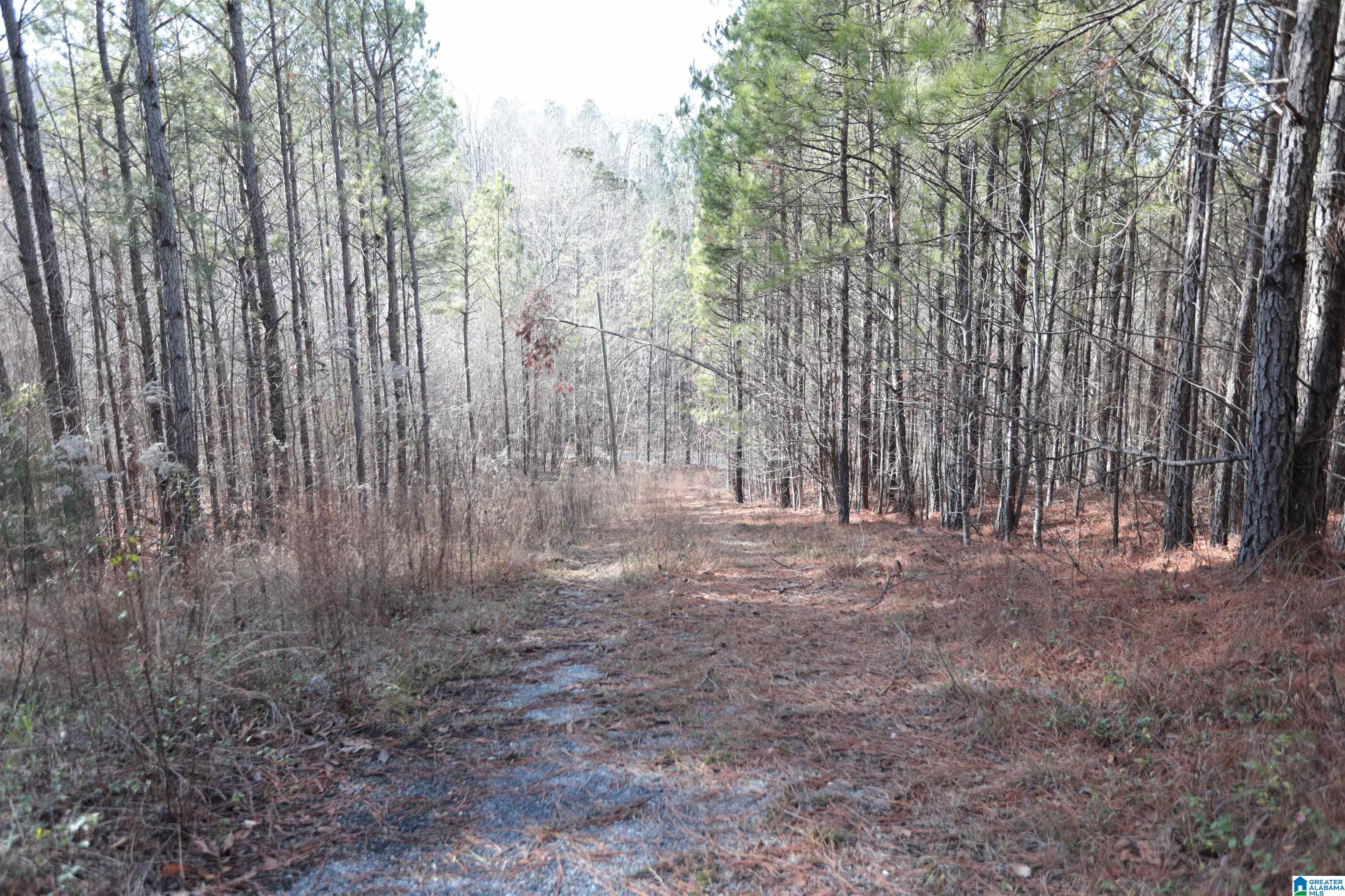6839 Valley Road Ragland, AL 35131 - Photo 8 of 10 Gallery Image 8