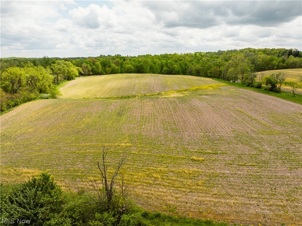 Garver Road Mansfield, OH 44903 - Photo 2 of 48