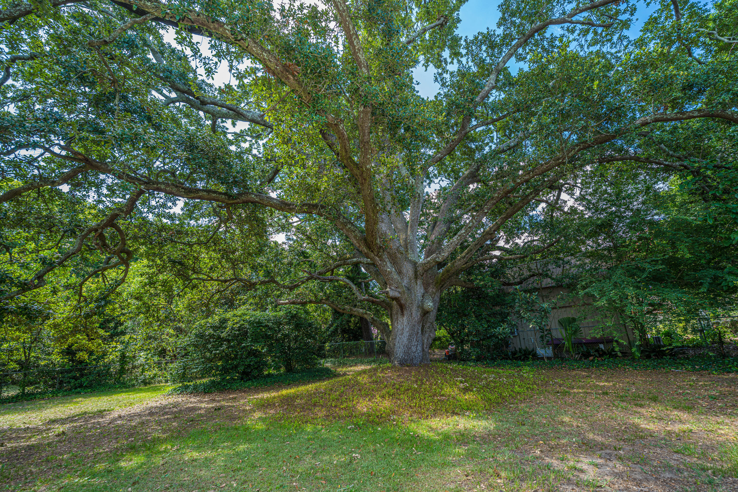 279 Hawthorne Street Mount Pleasant, SC 29464 - Photo 32 of 40 279 Hawthorne St
