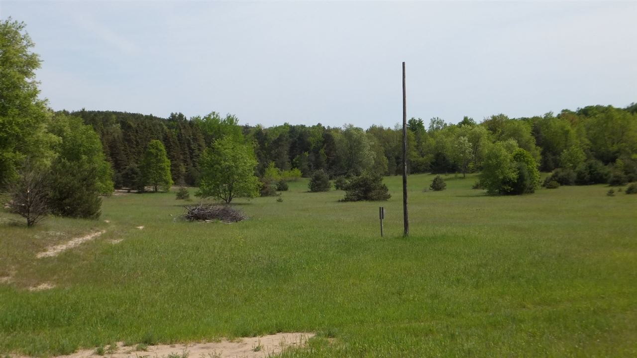 586 East Kasson Road Maple City, MI 49664 - Photo 42 of 47 1829423-41.JPG