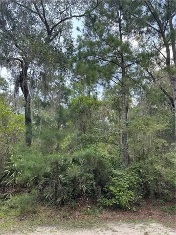 $70,000 | Lot 63 Delegal Drive Northeast, Townsend, GA 31331