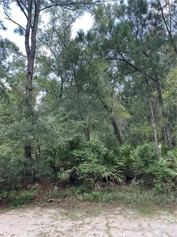 $70,000 | Lot 63 Delegal Drive Northeast, Townsend, GA 31331