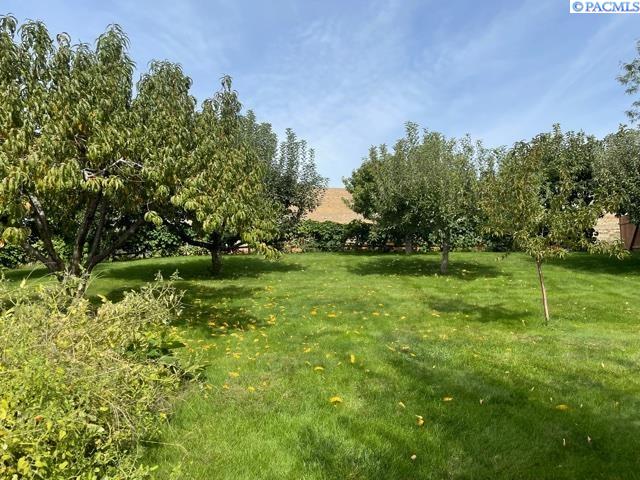 2619 Katie Road Kennewick, WA 99338 - Photo 7 of 10 Gallery Image 7