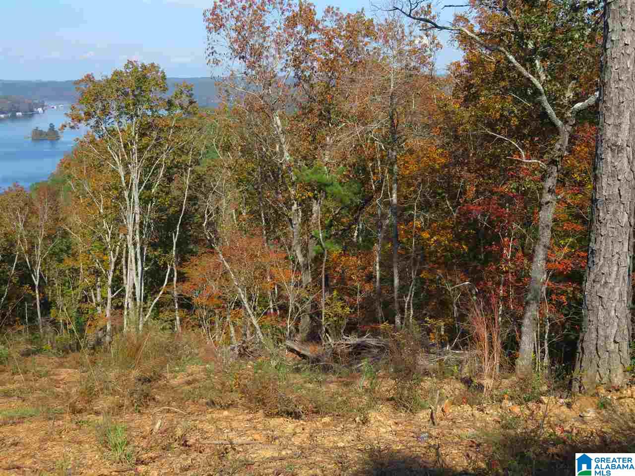 215 Eagle Mountain Road, Unit 4 Rockford, AL 35136 - Photo 7 of 11