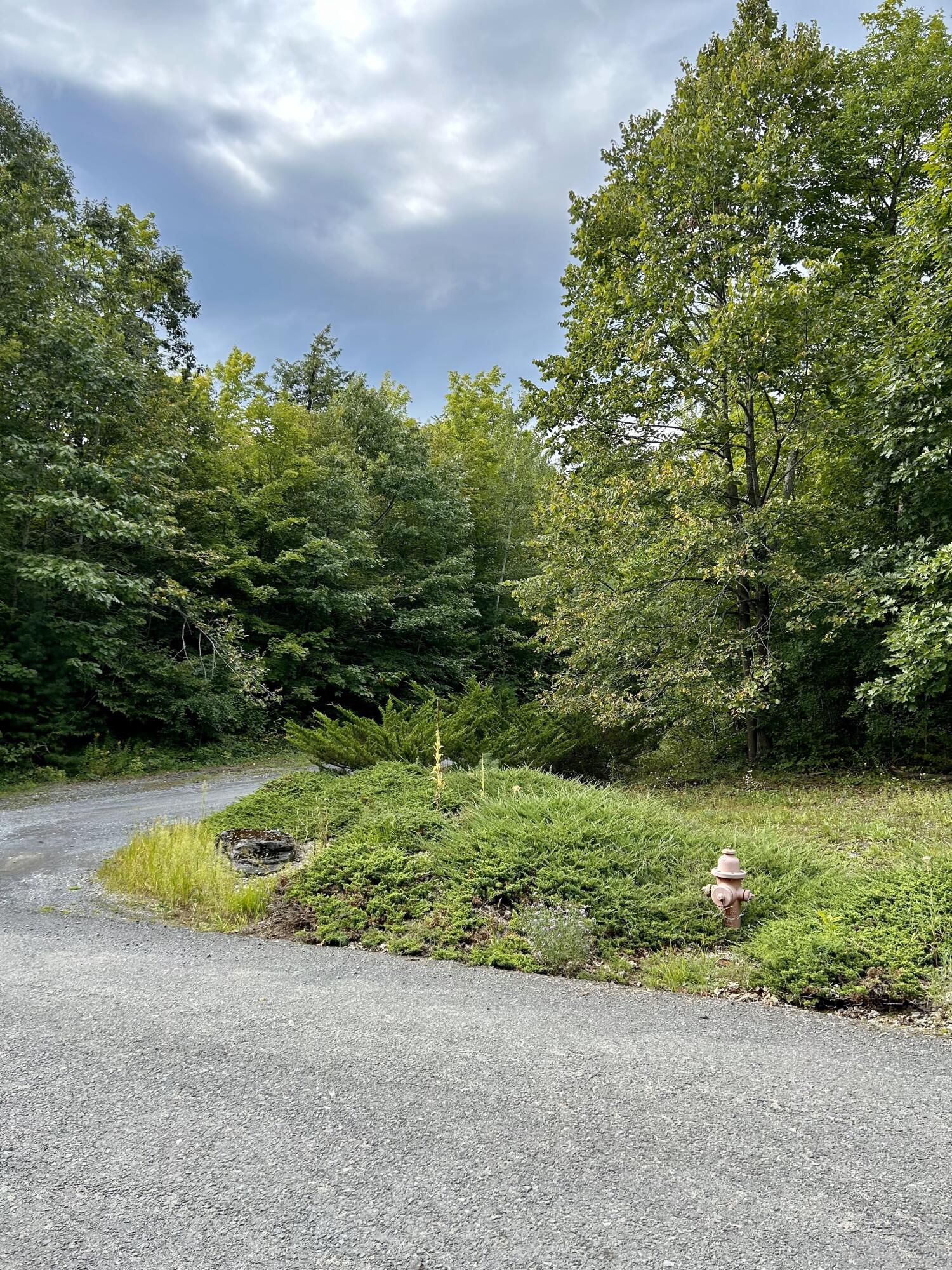 0 Bluff Point Drive Plattsburgh, NY 12901 - Photo 14 of 21 16