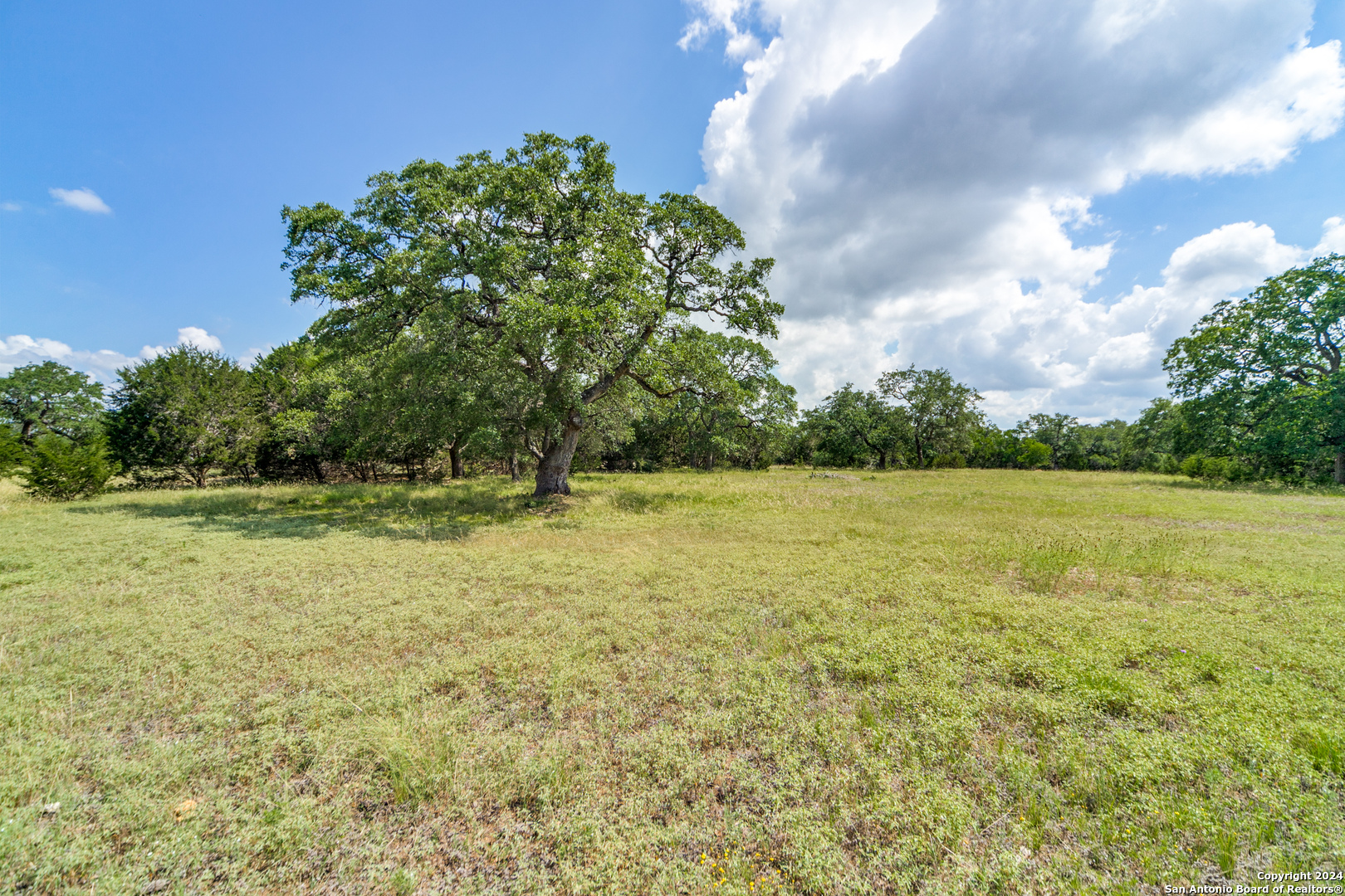 59 River Crossing Boerne, TX 78006 - Photo 4 of 13