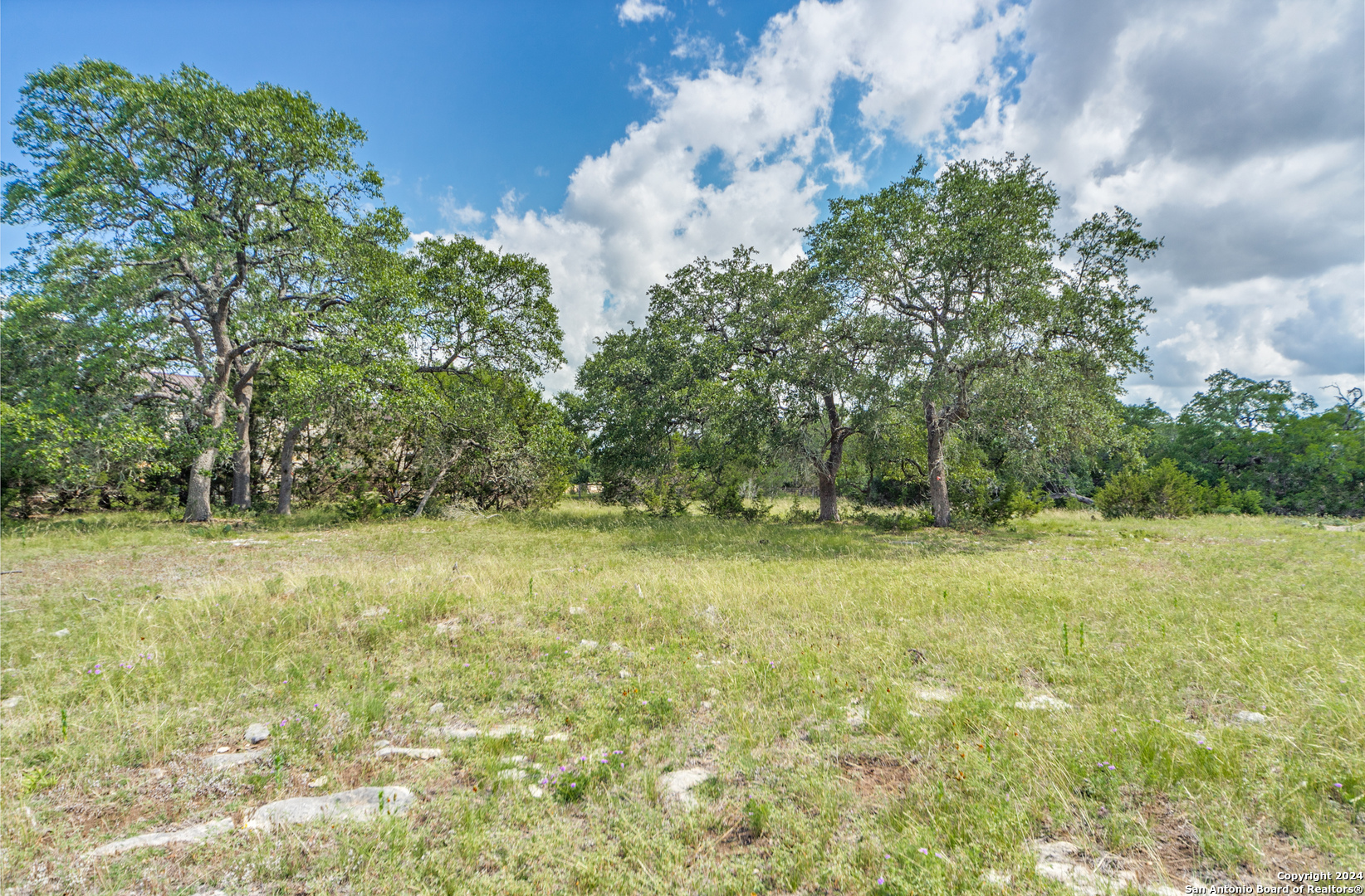 59 River Crossing Boerne, TX 78006 - Photo 6 of 13
