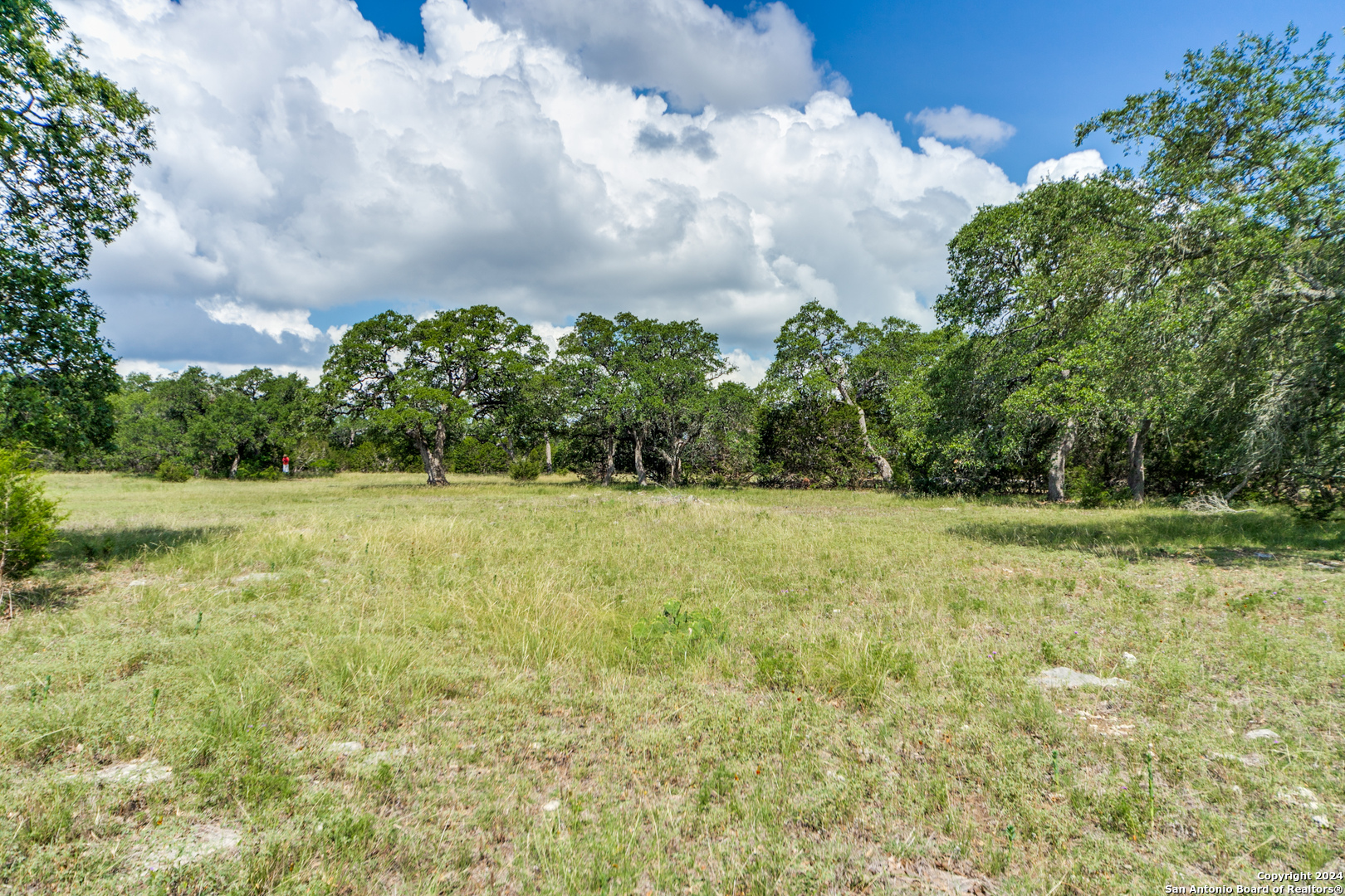 59 River Crossing Boerne, TX 78006 - Photo 7 of 13