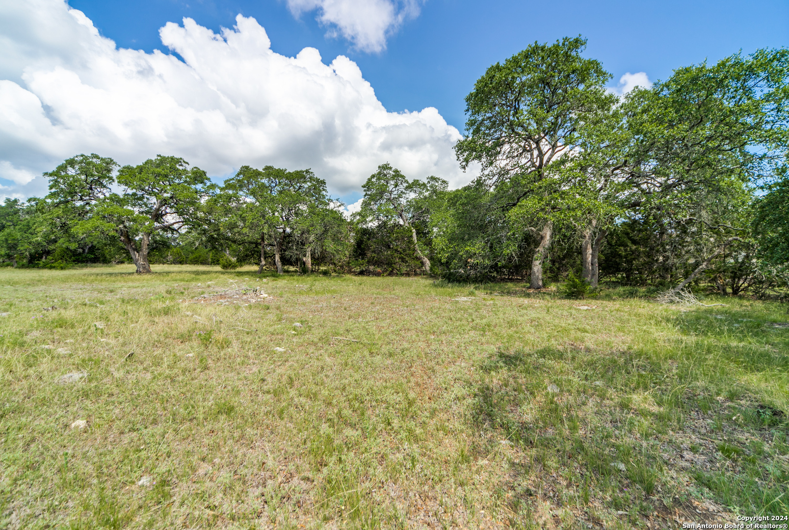 59 River Crossing Boerne, TX 78006 - Photo 10 of 13