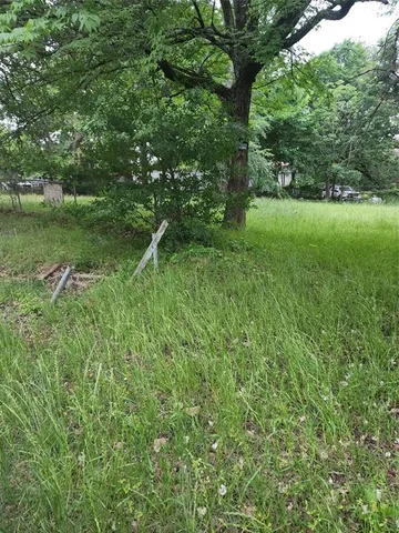 a backyard of a house with a yard and large trees