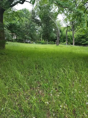 a view of a grassy field with trees