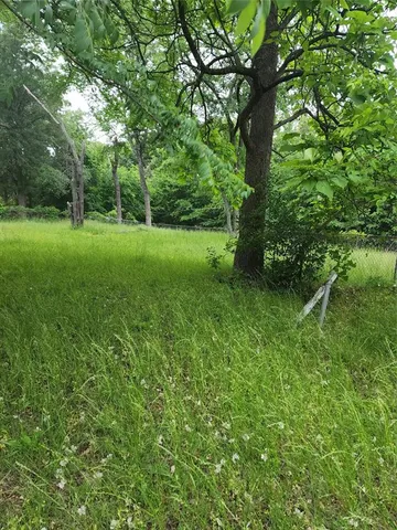 a view of a field with a tree