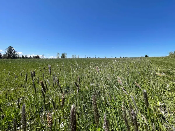$2,600,000 | 56922 South S Highway, Harrison, ID 83833