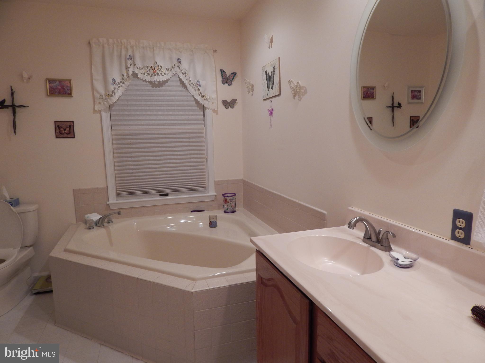 3320 Highland Ridge Road Berkeley Springs, WV 25411 - Photo 9 of 32 Master Bath