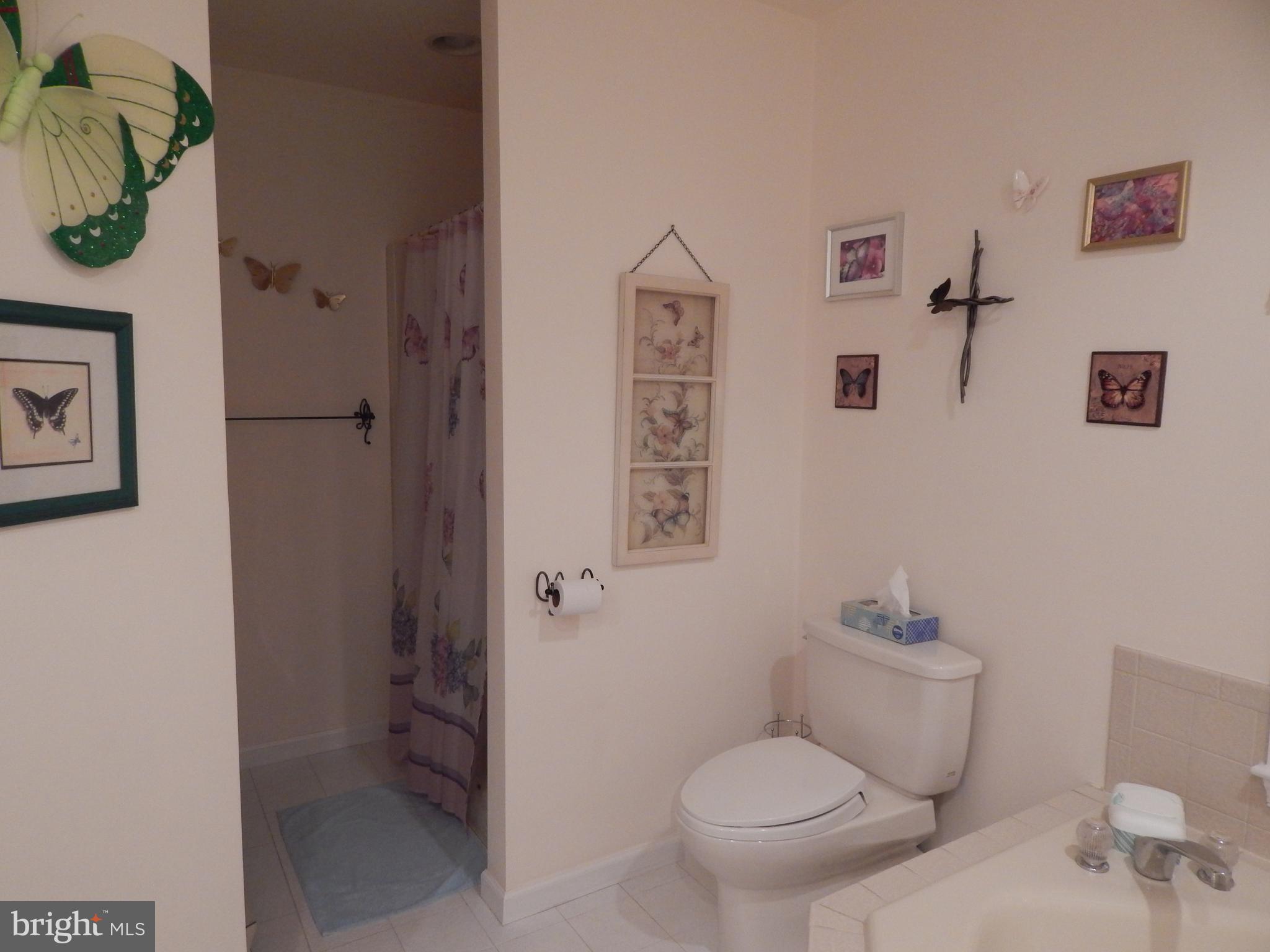 3320 Highland Ridge Road Berkeley Springs, WV 25411 - Photo 10 of 32 Master Bath