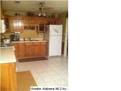 75 County Road 93 Verbena, AL 36091 - Photo 2 of 21