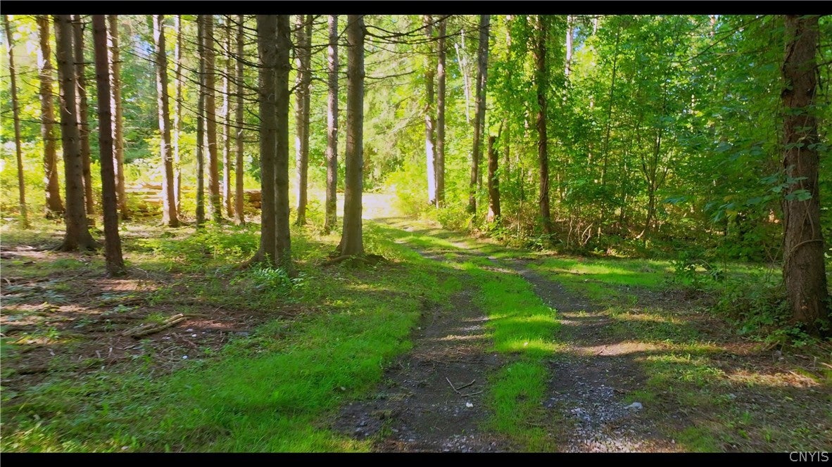 8086 Ross Road Honeoye, NY 14471 - Photo 10 of 11 Gallery Image 10