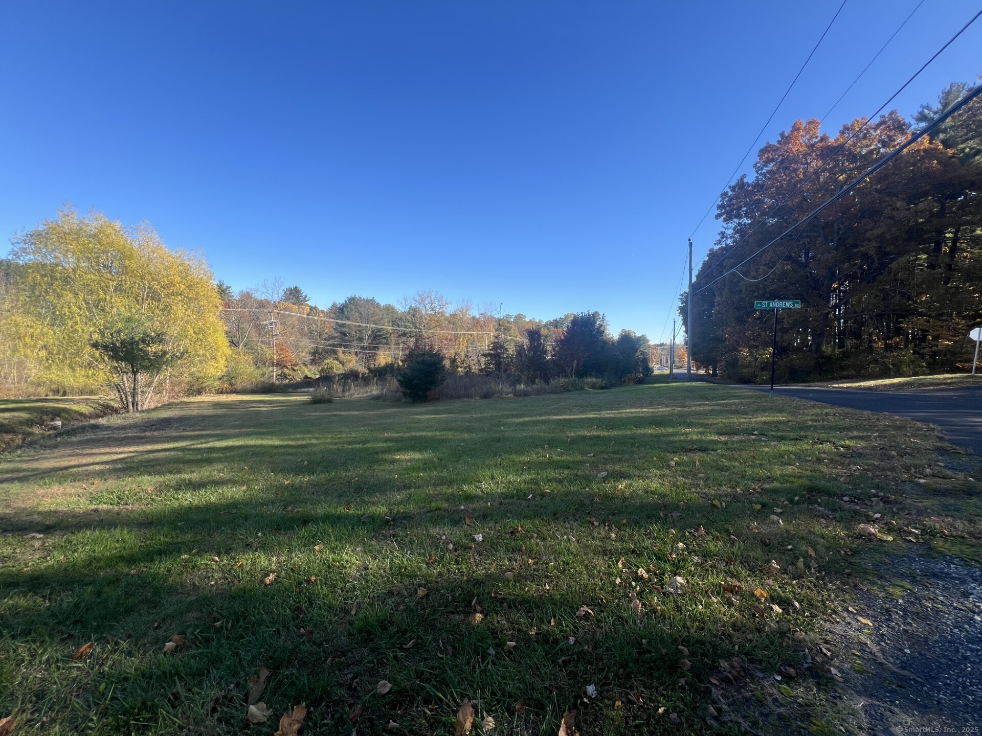 a view of a grassy field with trees