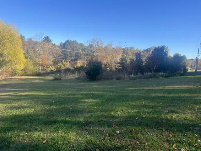 a grassy field with trees in the background